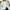 White, variant on Women's Turtleneck Oversized Sweater 2023 Winter Fall Long Sleeve Knit Pullover Tops Solid Tunic Sweaters for Women Trendy