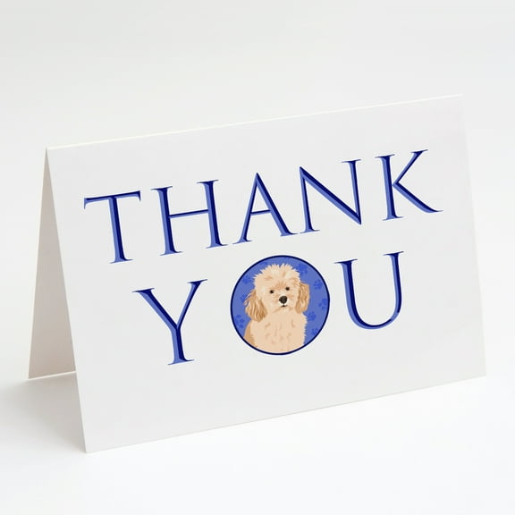 Poodle Toy Apricot #2 Thank You Greeting Cards and Envelopes Pack of 8 7 in x 5 in