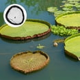 thumbnail image 4 of Miangastore Filet Flottant Rond pour Étang de Koi Lot de 1 23.6x23.6x2In, 4 of 8