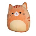 thumbnail image 1 of SQK - Large Plush (14 inch Squishmallows) (Wave 7- Ginger Tabby Cat), 1 of 1