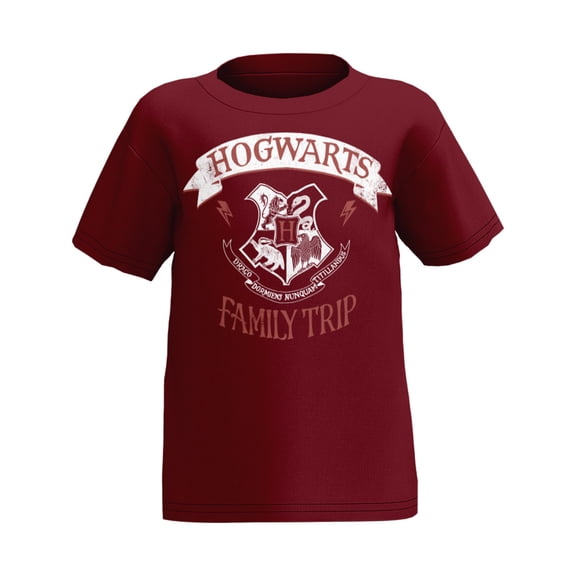 Harry Potter Family Trip Toddler Tee Shirt, 2T-4T (Unisex)