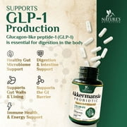 Akkermansia Gut Health Supplement - Premium Akkermansia Probiotic With Prebiotic Fiber - Akkermansia Muciniphila 2 Billion AFU Per Serving - GLP-1 Support for Women & Men, Bottled USA - 120 Capsules