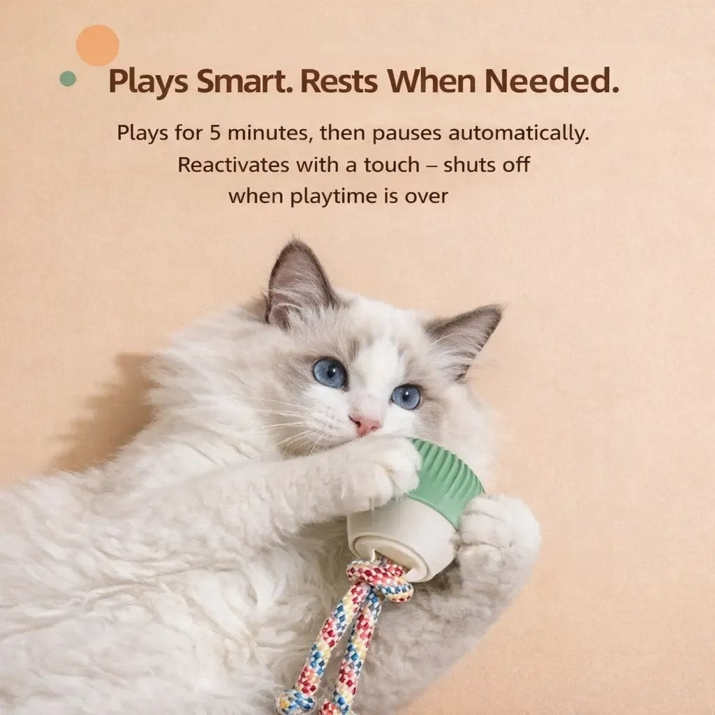 2026 New Interactive Dog Toys with Rotating Cotton Rope,Automatic Moving Interactive Cat Toy,3 Speed Modes, USB Rechargeable Smart Motion Rolling Ball with Tail Rope,Indoor for Kittens & Small Dogs