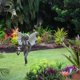 thumbnail image 5 of Escultura De Elfo De Hadas Con Luz De Jardín Con Linterna, Adornos De Jardín Para Decoración De Patio Trasero Al Aire Libre Speravity HA035677-00, 5 of 6