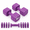 Purple, variant on Adjustable Dumbbell Set of 2, 6 Lbs Total, Black, Soft Rubber Handle for Home Gym Workouts