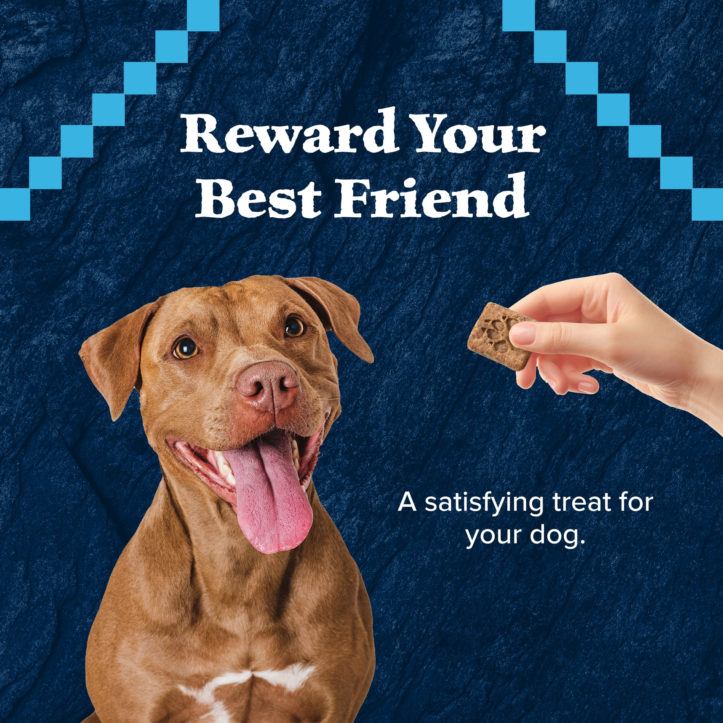 (4 pack) Blue Buffalo Wilderness Trail Treats Dog Biscuits Crunchy Dog Treats, Duck, 10-oz Bag