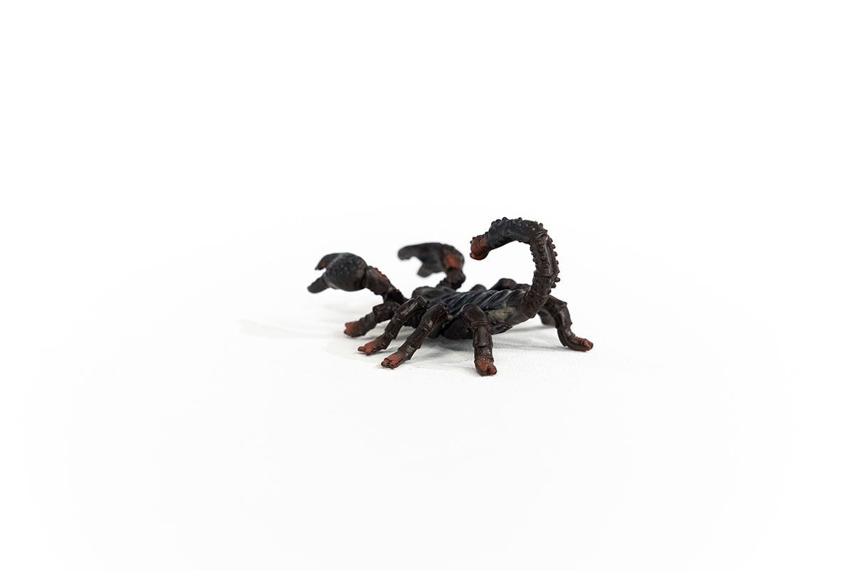 Schleich Wild Life - Emperor Scorpion Toy Figurine - Insect and Bug Toys - Kids Ages 3+