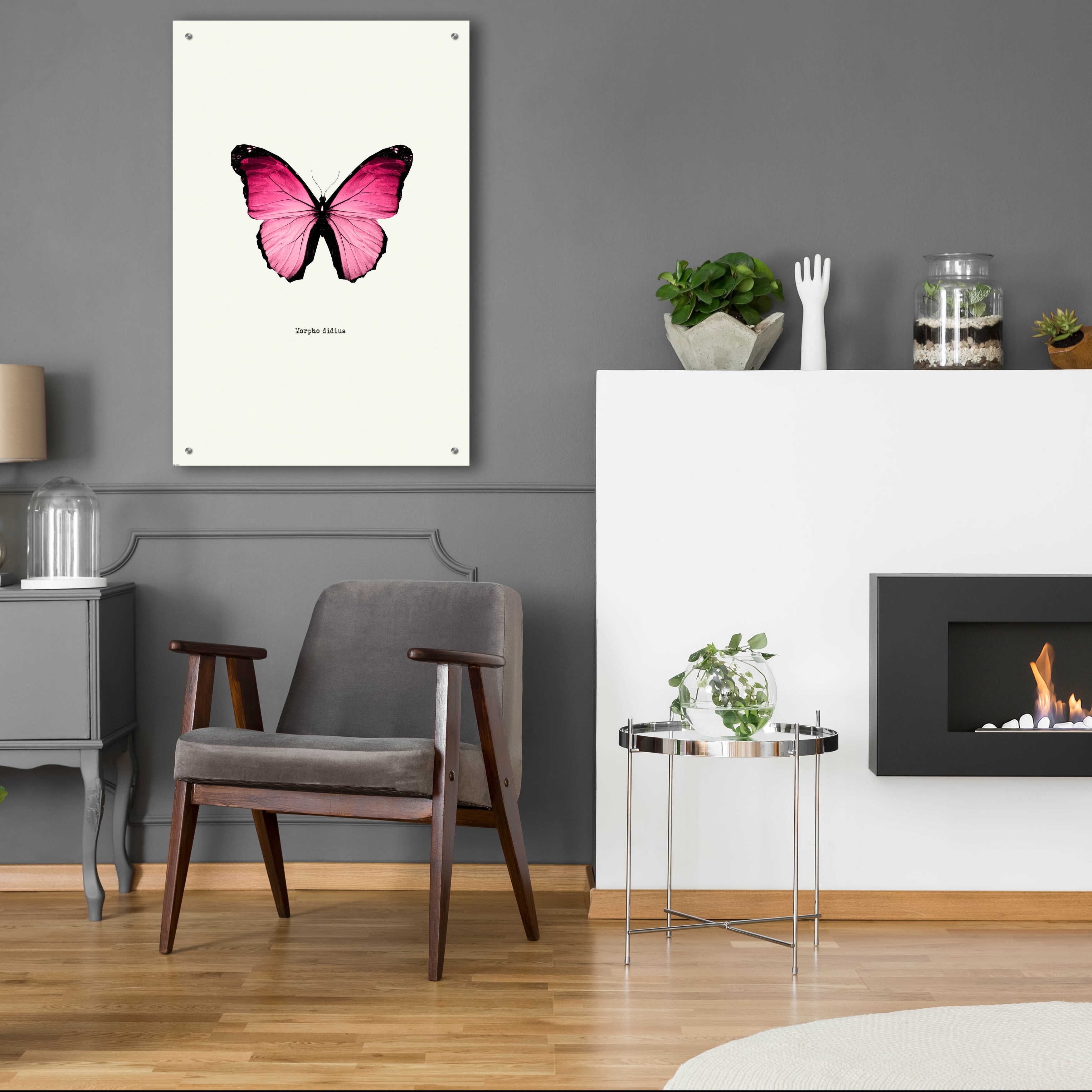 Epic Art 'Pink Butterfly' by GraphINC, Acrylic Glass Wall Art, 24"x36"