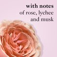 thumbnail image 3 of Perfume philosophy Amazing Grace Ballet Rose Eau de Toilette 120 ml Philosophy NA, 3 of 6