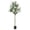 6ft, variant on Realistic Artificial Olive Tree for Home & Office Decor – 7ft Tall Faux Plant with Lifelike Leaves & Fruits, UV-Resistant, Sturdy Indoor/Outdoor Potted Tree for Entryway, Living Room