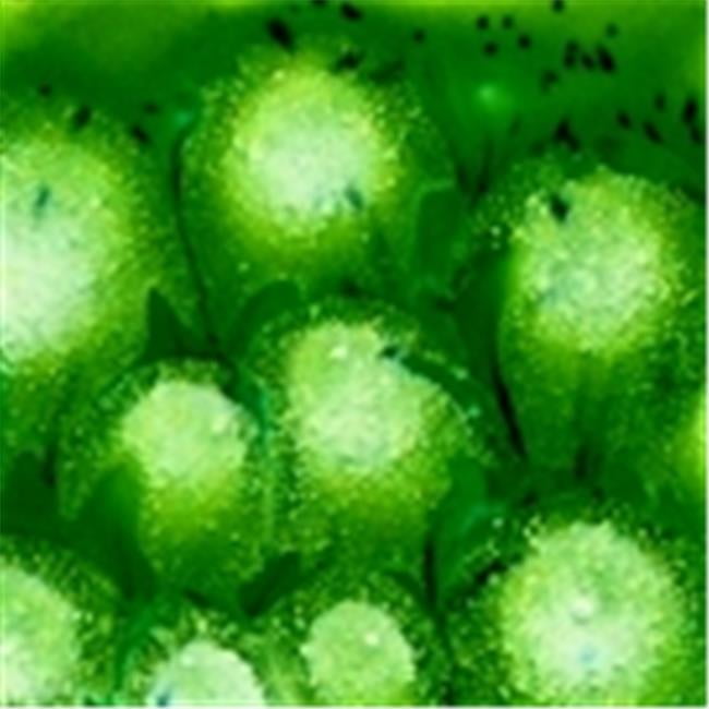 Mayco 16 Oz. Crystallite Non-Toxic Crystal Glaze, Spotted Kiwi