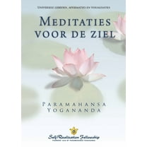 Metaphysical Meditations (Dutch) (Paperback)