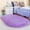 Purple, variant on LELINTA 2.6' x 5.4'/ 2.6' x 3.9' Ultra Soft Children Rugs Room Mat Modern Shaggy Area Rugs or Runner Home Decoration