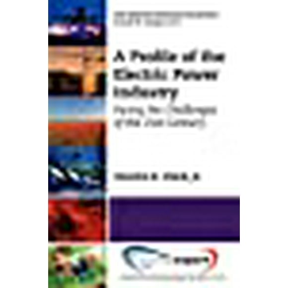 A Profile of the Electric Power Industry: Facing the Challenges of the 21st Century (The Industry Profiles Collection)
