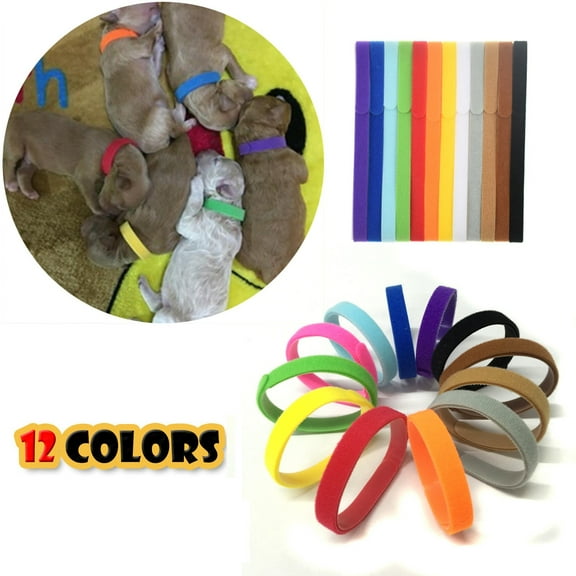 Djunllk Newborn Puppy Collars, Puppy Whelping Collars, 12 Colors Identification Id Collars Bands Whelp Puppy Dog Pet Collars