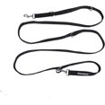 thumbnail image 4 of FYBTO Laisse Multifonction Mains Libres FYBTO Chien de Formation Laisse Solide et Réglable Longueur 10 Pieds Largeur 1 Pouce, 4 of 7