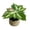 C, variant on Eolstice Artificial Potted Plants, Assorted Mini Faux Leaf Shrub In Straw Basket, Multi Style Small Tabletop Planter, For Indoor Shelf Desk Home Decorative Planter