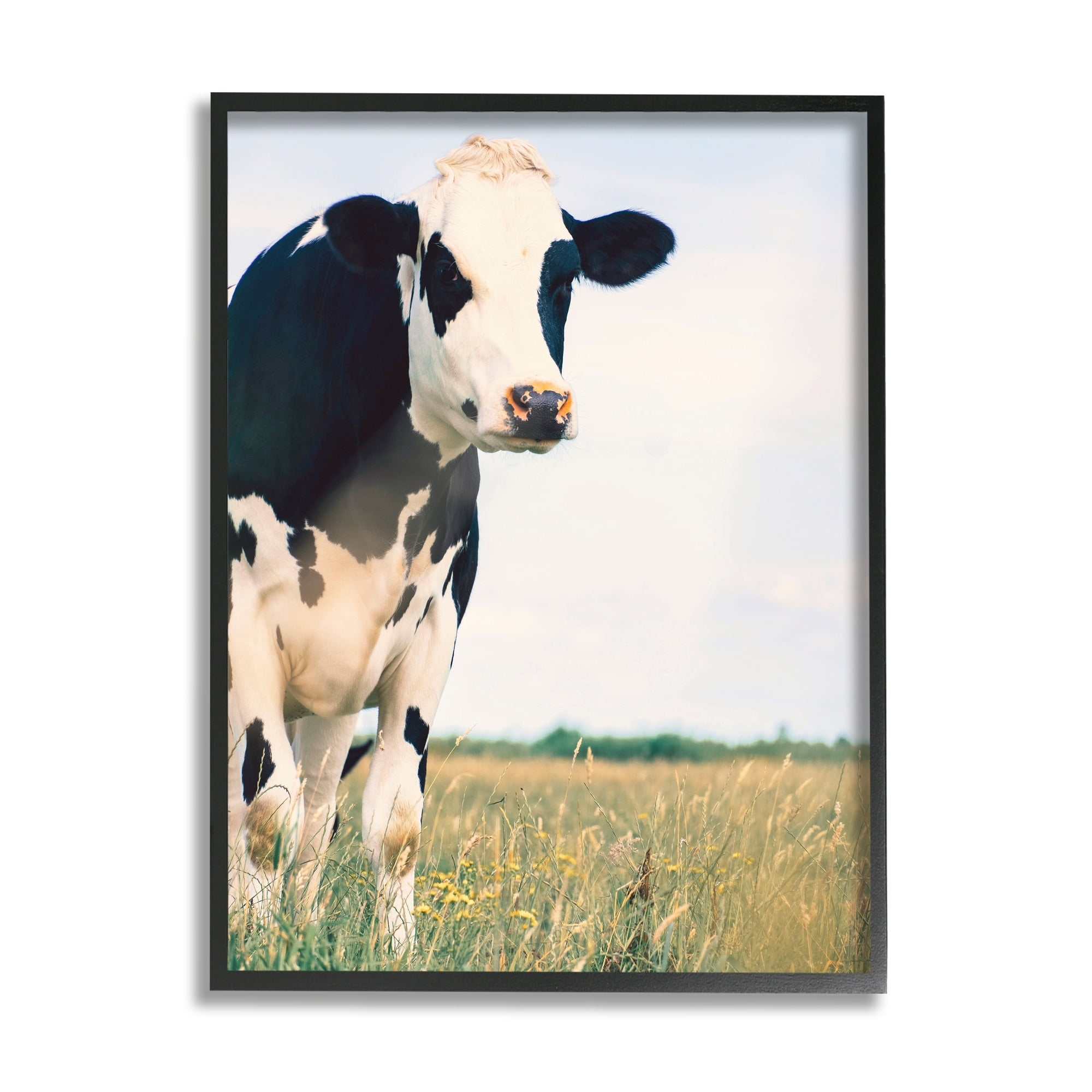 Stupell Industries Country Farm Cow Photography Animals & Insects Photography Gray Framed Art Print Wall Art