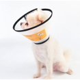 thumbnail image 4 of Colliers Conique de Protection Anti-Morsure pour Chien Chat Chiot Collier de Plaie Protecteur de Cou Réglable Plastique Doux Transparent, 4 of 5