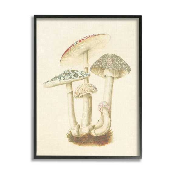 Stupell Industries Vintage Mushroom Study Botanical & Floral Painting Black Framed Art Print Wall Art, 11 x 14