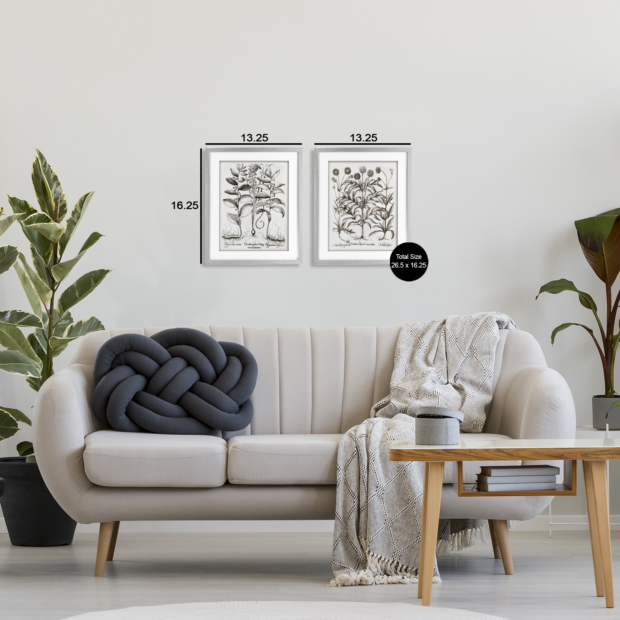 Botanical Root & Plant Studies 2 Piece Gray Framed Print Under Glass Set, design by Lettered and Lined