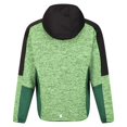 thumbnail image 2 of Regatta - Forro Polar Dissolver VII para Niños/Niñas (Verde Jasmín, Negro), 2 of 4