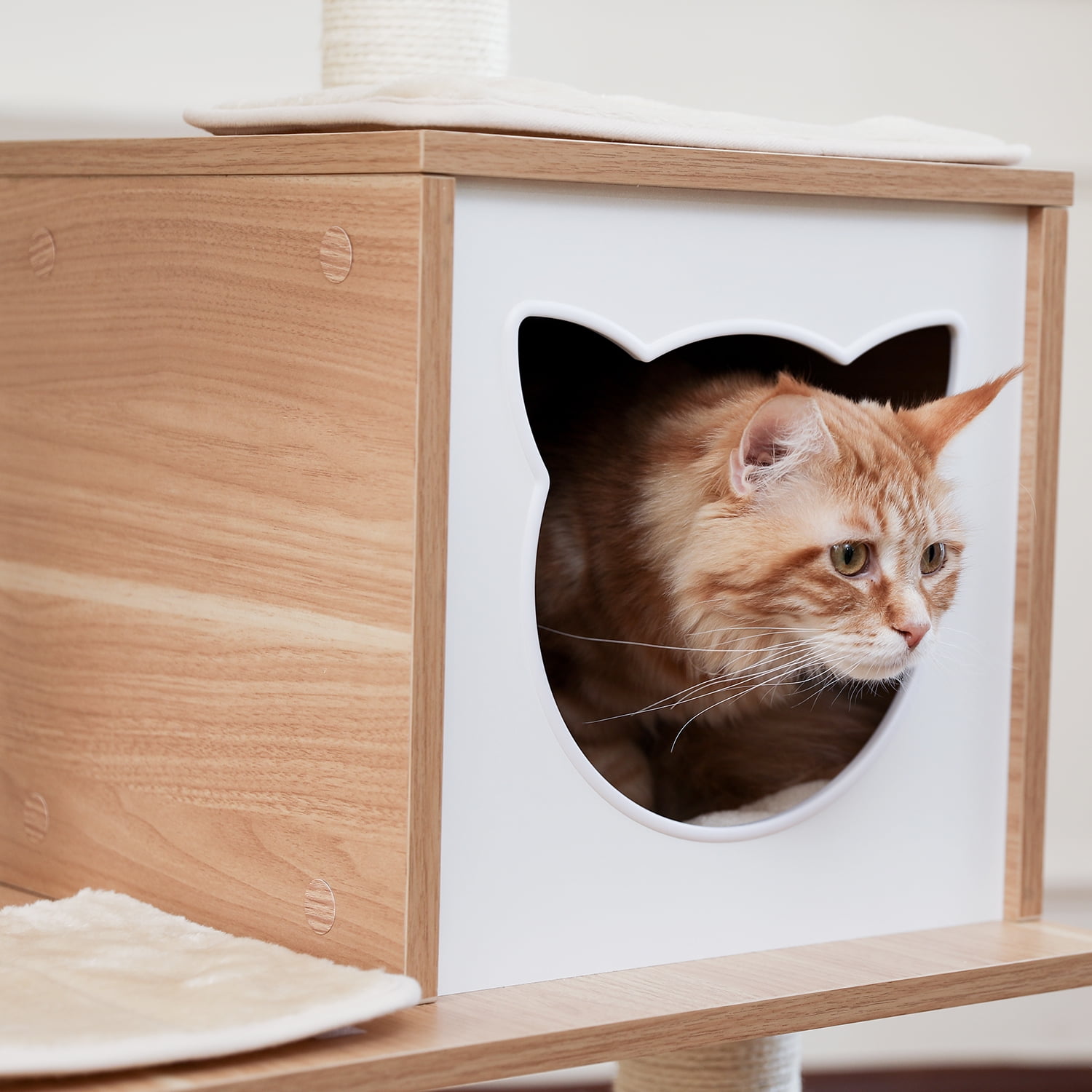 Pefilos 64" Wood Cat Tree Tower for Indoor Cats, Multi-Level Cat Condos for Big Cats with Scratching Posts, Beige Pefilos 64" Wood Cat Tree Tower for Indoor Cats, Multi-Level Cat Condos for Big Cats with Scratching Posts, Beige