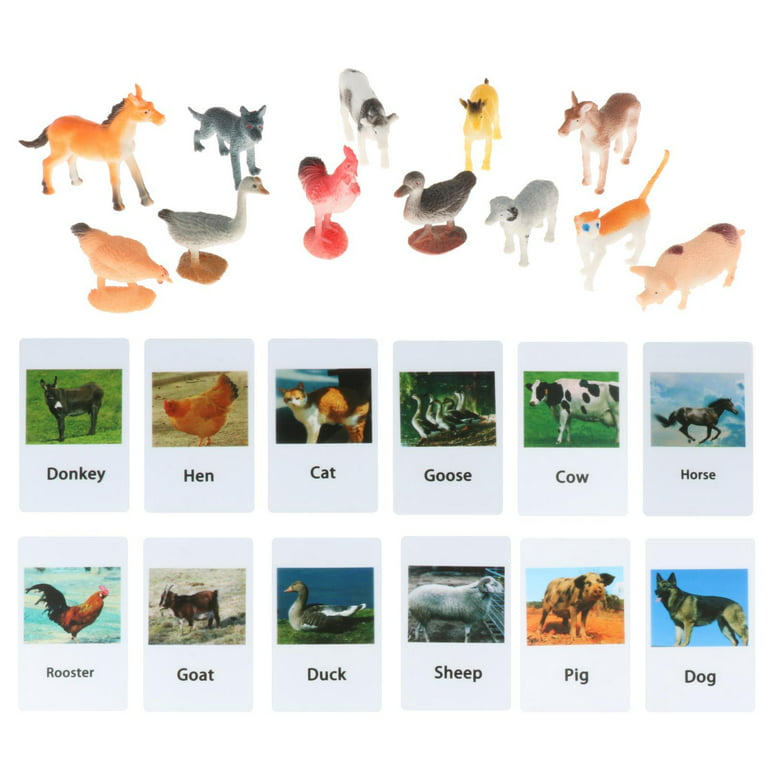 Montessori Animals 