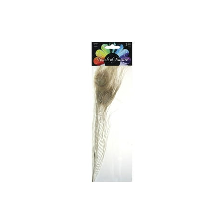 Midwest Design Feather Peacock Eye 6-8