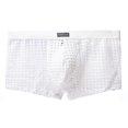 thumbnail image 1 of Mens Fishnet Underwear See Through Boxer Briefs Mesh Hollow Lingerie Lounge Trunks Shorts, 1 of 2
