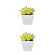 thumbnail image 2 of Advancent Simulación de suculentas, Mini maceta para bonsái, flores falsas, maceta decorativa para el hogar, , jardín, boda, sala de estar, tipo3 2Conjunto, 2 of 6