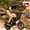 Black, variant on ESKUTE Electric Bike for Teens & Adults, 750W Motor (1500W Peak), 28mph Speed, 48V 13Ah Battery, 16"x4.0" Fat Tires, 7-Speed E-Bike with Dual Suspension, Black