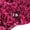 Hot Pink, variant on Frillz by DECOfill™ Crinkle Cut Shredded Paper Filler for Eco Sustainable Packaging, Gifts, and Baskets (1 lb, Kraft)
