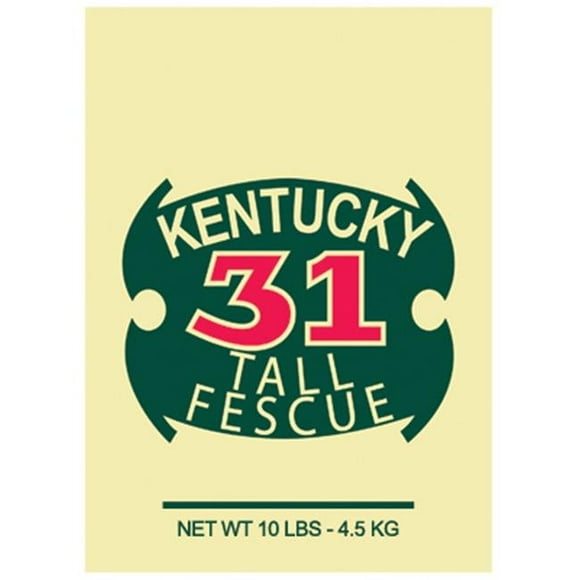 Barenbrug 16210 10 lbs. Ky-31 Grass Seed