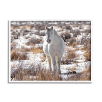 Winter Snow Horse Wildlife Animals & Insects Photograph White Framed Art Print Wall Art