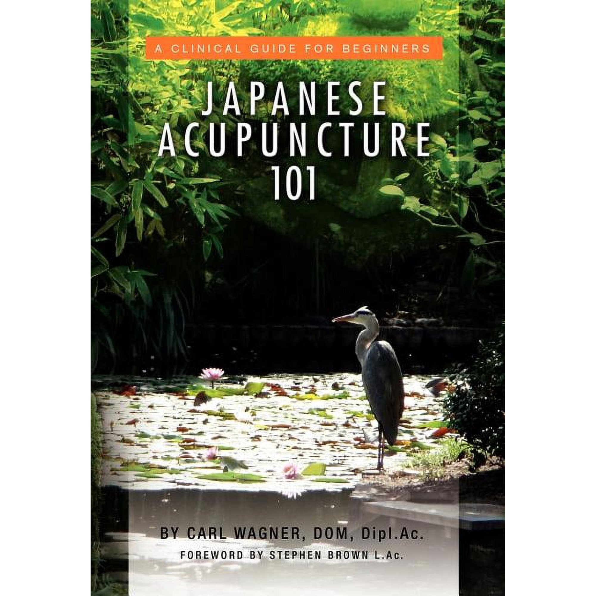 Japanese Acupuncture 101, (Hardcover)
