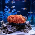 thumbnail image 6 of Tarmeek Aquarium Coral Ornament Resin Cave Hideout for Fish Tank Decor Medium Multicolor Hollow Design Safe for Betta Rest Hide Play Breed 16x10cm Easy to Clean, 6 of 7