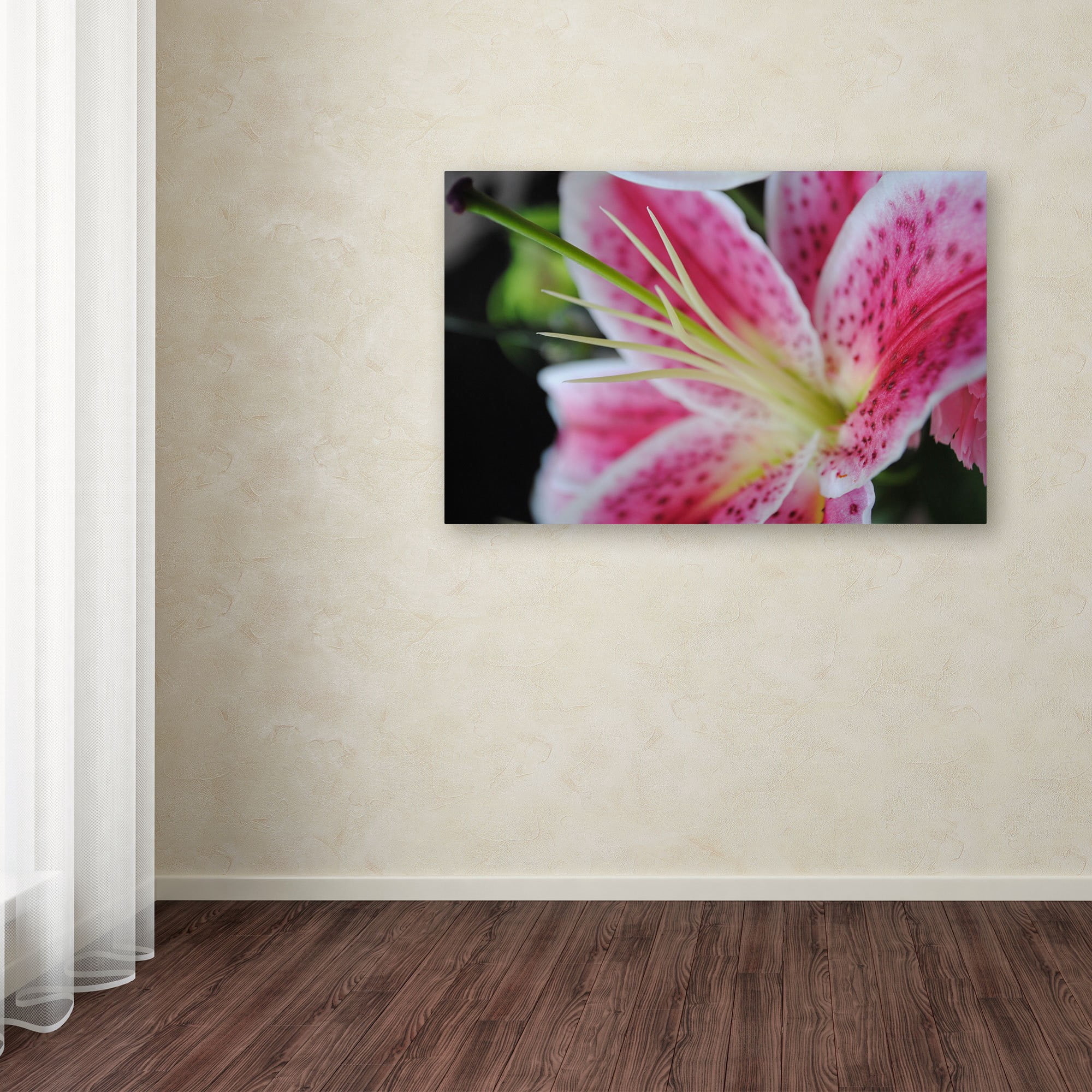 Trademark Fine Art "Pink Flower" Canvas Art by Monica Fleet