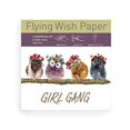 thumbnail image 1 of Flying Wish Paper Girl Gang - Write It, Light It, & Watch It Fly - 5" x 5" - Mini Kits, 1 of 7