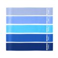 thumbnail image 7 of bestolf 5Pcs Resistance Bands Set Multi-Level Resistance Elastic Fitness Bands Exercises Rehabilitation Yoga Bands, 7 of 7