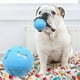 thumbnail image 3 of Pisexur Suministros para mascotasDog Teeth Toy Dog, Pet Daily Supplies, Pet Toy Ball, Golden Ball Hound,Hollow Shape Throwing Game Ballpara perros, gatos y animales., 3 of 6