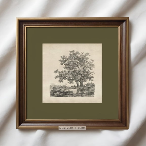 Vintage Oak Tree Etching, Square Poster with Sage Green Mat, Antique Forest Drawing Print Poster, Landscape Sketch, Dark Green Wall Art Poster, A4, Unframed Poster Size 8x12 F03.1.19l216