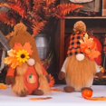 thumbnail image 2 of Set of 2 Plush Garden Gnomes, Faceless Pumpkin Harvest Doll, Halloween Decoration with Pumpkin Harvests, Christmas Fall Ornaments Kitchen Living Room, 2 of 5