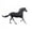 Black, variant on Confetti Horse Black - Pouch (1/2 oz) - CCP8973