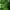 Pure Green, variant on Yaheetech 6Ft Pre-lit Flocked Artificial Christmas Tree with Foldable Stand and Warm Lights, Green