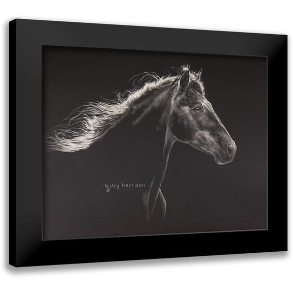Harrison, Lesley 14x12 Black Modern Framed Museum Art Print Titled - Faroan