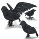 thumbnail image 3 of Pájaro artificial YONGSHENG cuervo plumas negras decoración Halloween, 3 of 5
