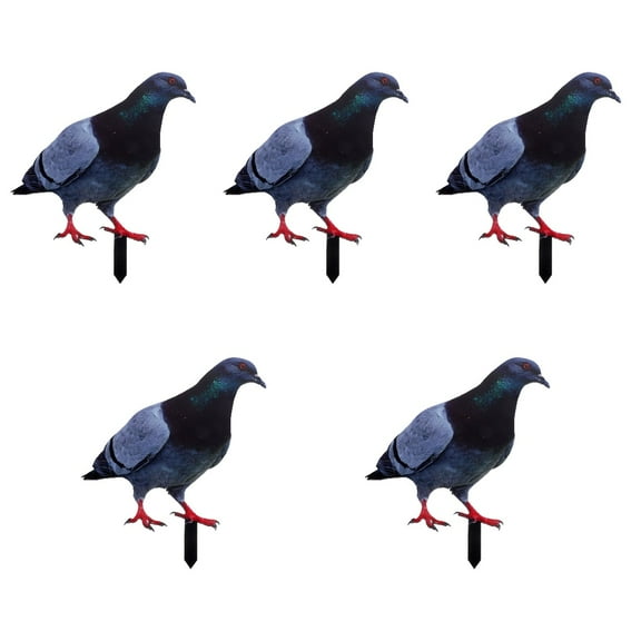 5 Count Simulated Pigeon Ground Plug Lifelike Sculpture
