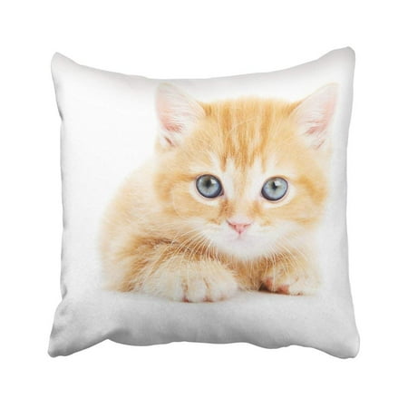 ARTJIA Yellow Cute One British Shorthair Red Kitten Cat Kitty Eyes Lying Purebred Adorable Animal Pillowcase Throw Pillow Cover Case 18x18 inches