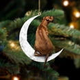 thumbnail image 1 of Perros Colgantes Colgantes Para Árboles De Navidad Decoraciones Para Perros Para Mascotas Colgantes Para Colgar En Ventanas O Puertas Advancent HA042685-05, 1 of 6
